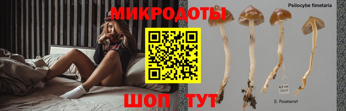 Галлюциногенные грибы GOLDEN TEACHER Урай